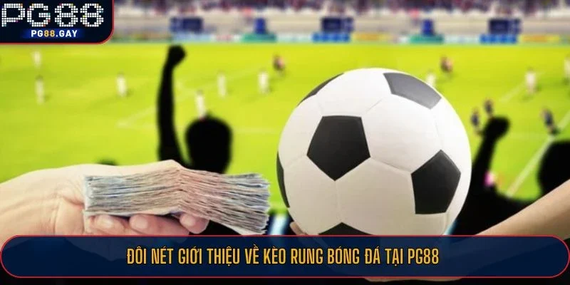 Đôi nét giới thiệu về kèo rung bóng đá tại PG88